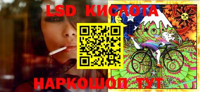 индика Кулебаки