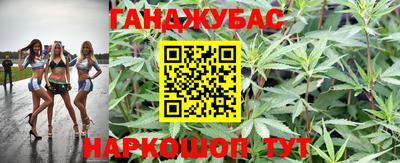 PSILOCYBIN Кунгур