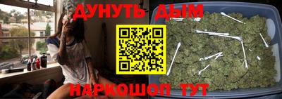 PSILOCYBIN Кунгур
