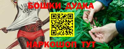 PSILOCYBIN Кунгур