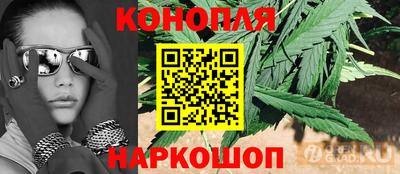 индика Кулебаки