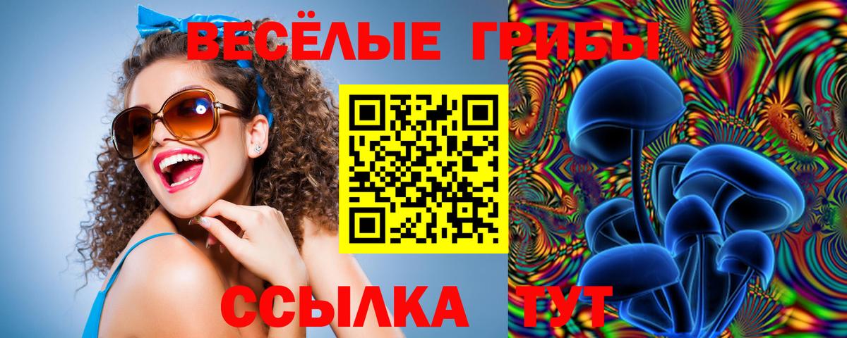 купить наркоту  Галлюциногенные грибы Cubensis  Вход с VPN  Ялуторовск  Галлюциногенные грибы GOLDEN TEACHER 